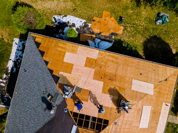 Best Storm Damage Roof Repair  in Pine, AZ