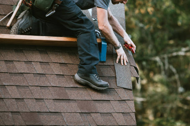 Best Affordable Roofing Company  in Pine, AZ